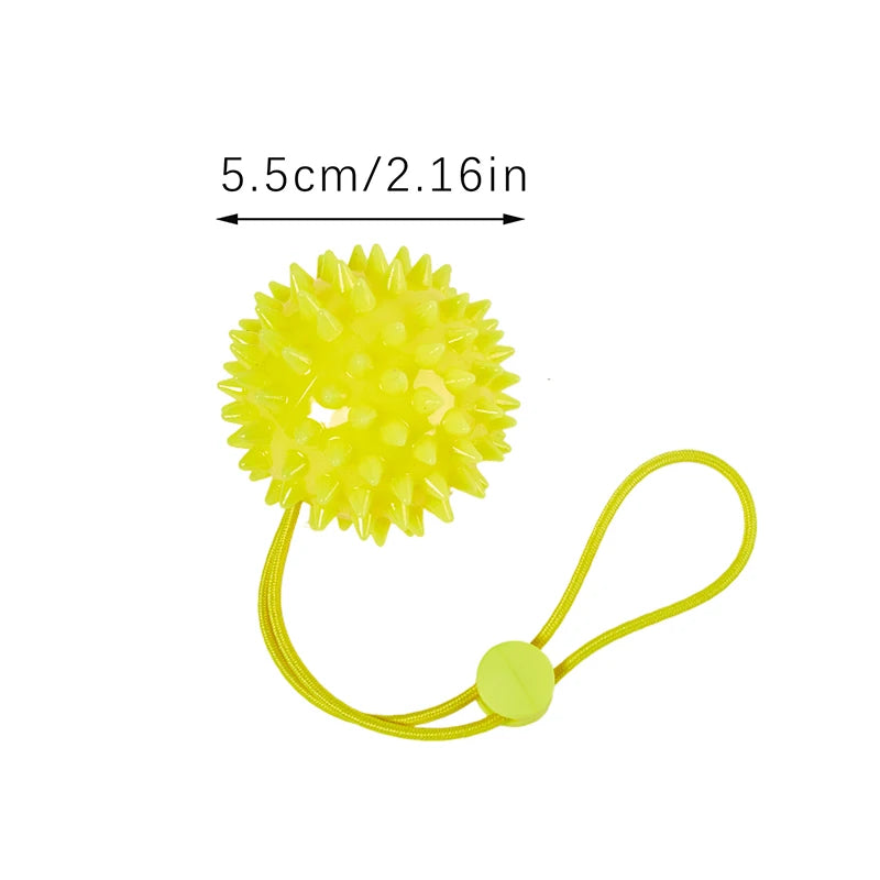 Spiky Massage Grip Ball With String